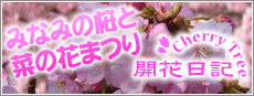 桜情報「開花日記」